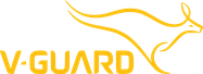 V-Guard_Industries